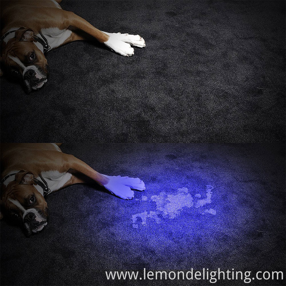 led portable torch